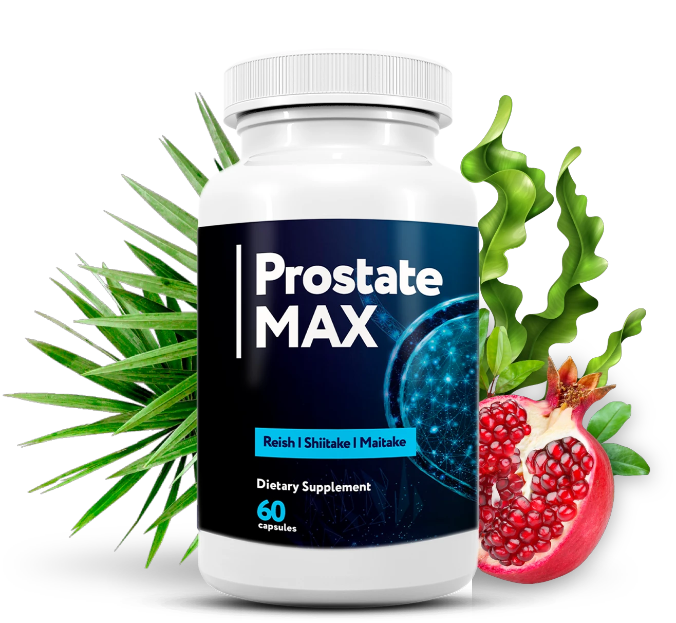 prostate-max-main