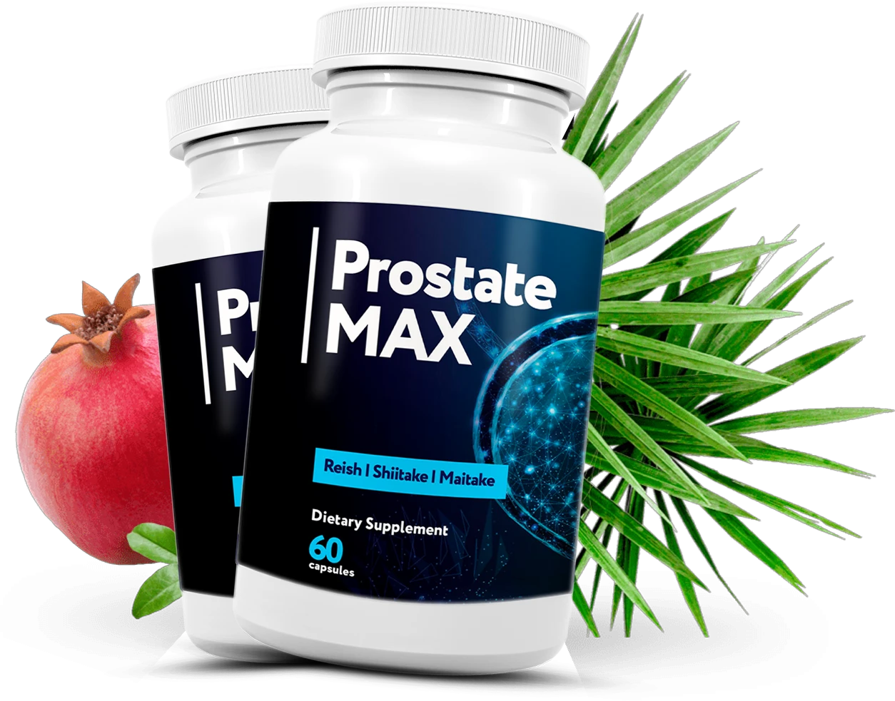 prostate-max-supplement